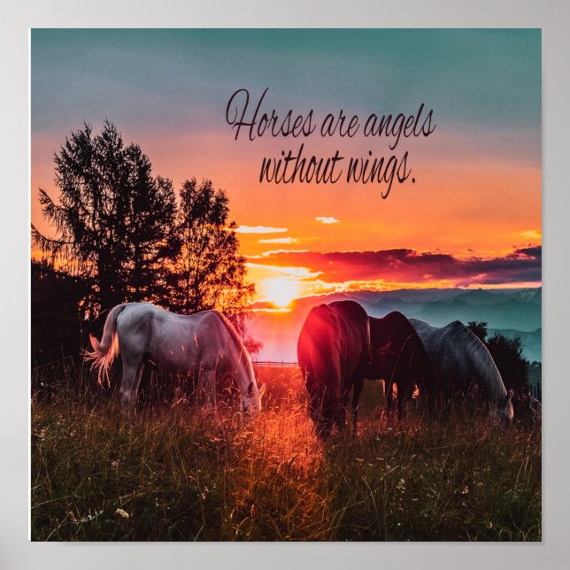 Poster Les chevaux sont des anges sans ailes (Devant)