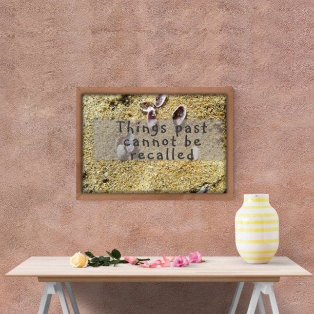 Poster Les choses passées ne peuvent pas être rappelées (Créateur téléchargé)