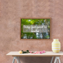 Les choses passées ne peuvent pas être rappelées I