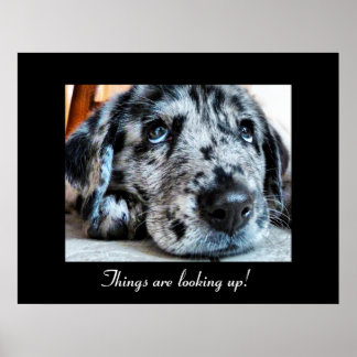 Poster Les choses sont en train de se lever !