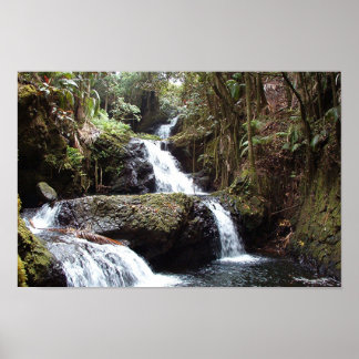 Poster Les chutes d'Hawaiin