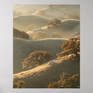 Poster Les Collines