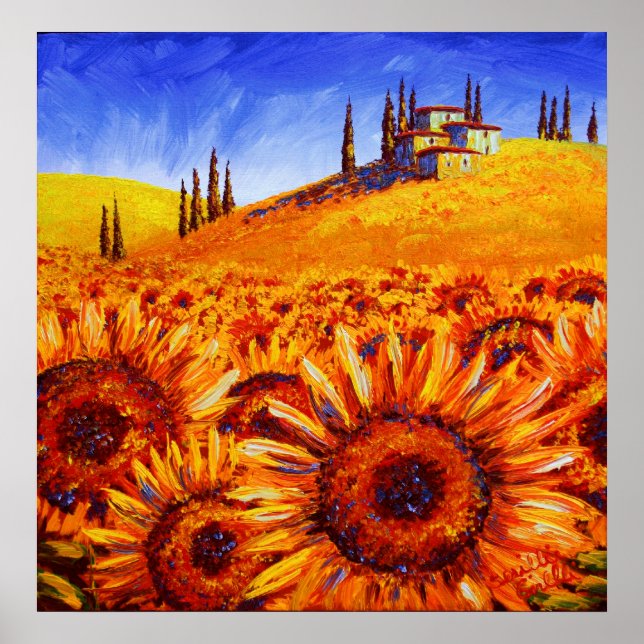 Poster Les collines de tournesol toscane (Devant)