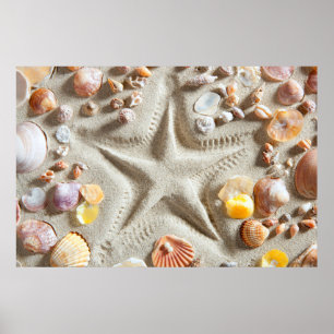 Poster Les coquillages de sable blanc de la plage