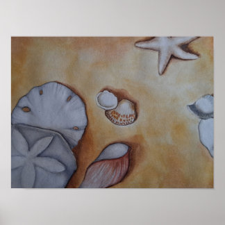 Poster Les coquillages marins au bord de l'eau