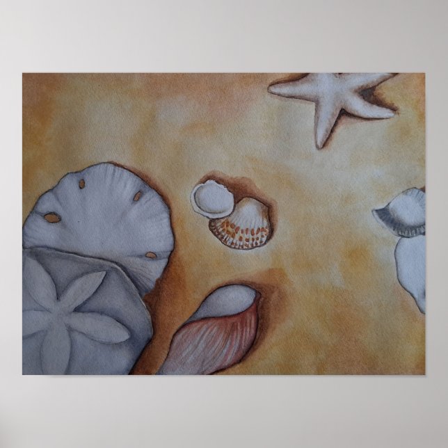 Poster Les coquillages marins au bord de l'eau (Devant)