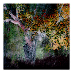 Poster Les couleurs de l'automne....