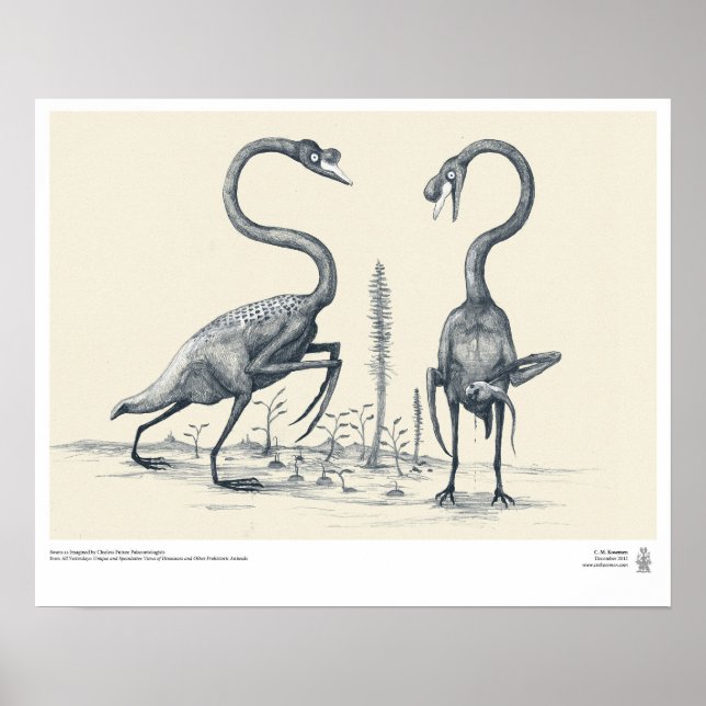 Poster Les cygnes imaginés par les futurs paléontologues (Devant)