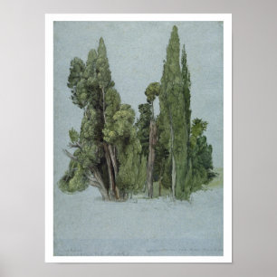 Poster Les cyprès au d'Este de villa, Tivoli (la semaine