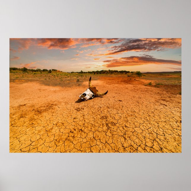 Poster Les déserts | Le désert au crâne de vache (Devant)