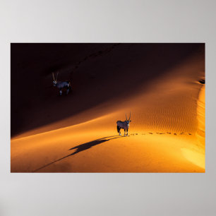 Poster Les déserts Parc national du Namib Naukluft Keny