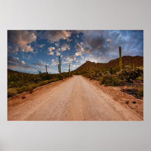 Poster Les déserts Parc national du Saguaro Arizona