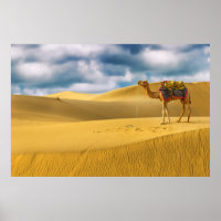 Les déserts | Thar Desert Rajasthan Inde Camel