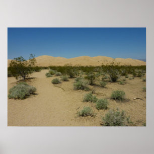 Poster Les dunes de Kelso dans le parc national Mojave