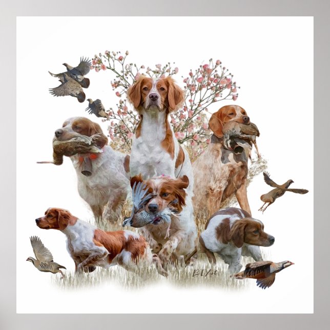Poster Les Espagnols de Bretagne, Saison de chasse aux oi (Devant)