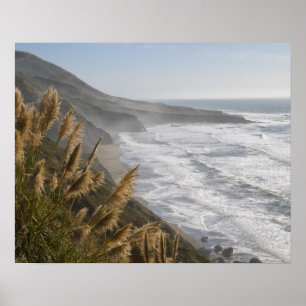 Poster Les Etats-Unis, la Californie, côte de Mendocino