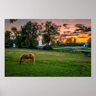 Poster Les Etats-Unis, Lexington, Kentucky. Cheval