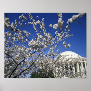 Poster Les Etats-Unis, Washington DC. Festival et 2 de