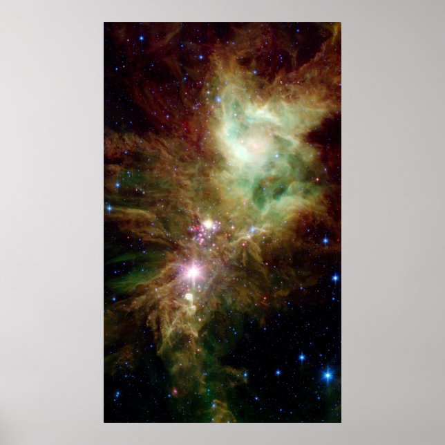 Poster Les étoiles nouveau-nées dans la grappe d'arbres d (Devant)