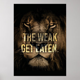 Poster Les faibles se mangent - Lion - Hustle