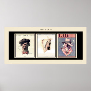 Poster Les fameux puces