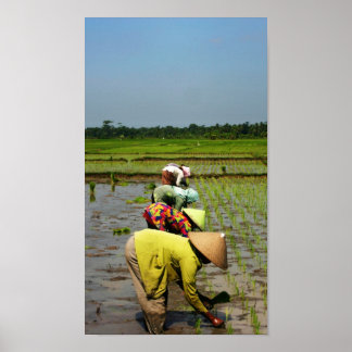 Poster Les femmes au travail