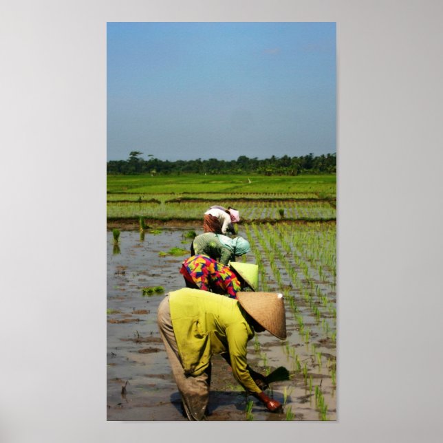Poster Les femmes au travail (Devant)