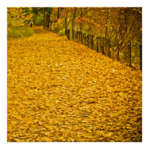 Poster LES feuilles SONT PARTI DU FOLIAGE DE L'AUTOMNE SA