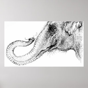 Poster Les fidèles d'un éléphant 100% par Inkspot