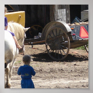 Poster Les filles Amish et leur cheval