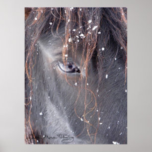 Poster Les flocons de neige sur Fell Pony