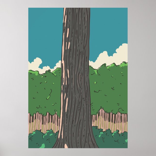 Poster Les forêts japonaises (Devant)
