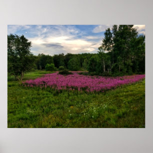 Poster Les gloires du Maine