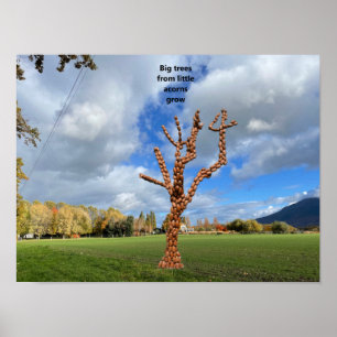 Poster Les grands arbres poussent à partir de petits glan
