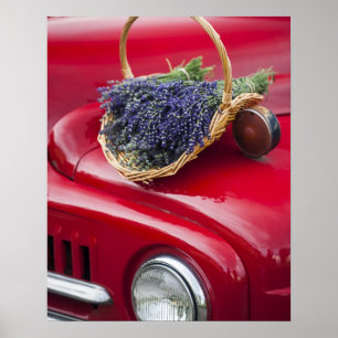 Poster Les grappes de lavande reposent sur un vieux pick-