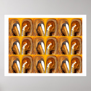 Poster Les grottes