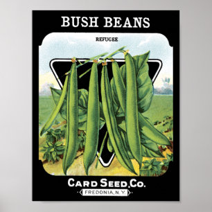 Poster Les haricots de Bush cardent le cru Fredonia de