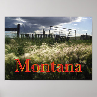 Poster Les herbes des Prairies du Montana Imprimer sur me