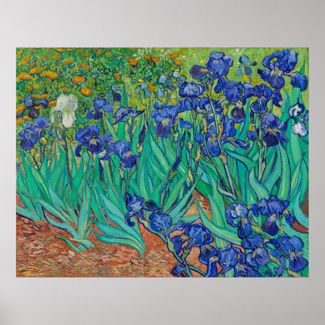 Poster Les Irises de Van Gogh (Devant)