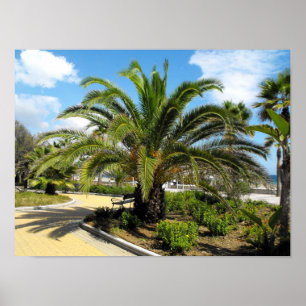 Poster Les jardins de Puerto Banus