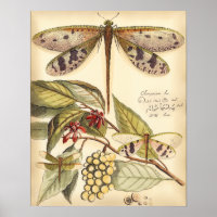 Les libellules aux Feuilles et aux fruits