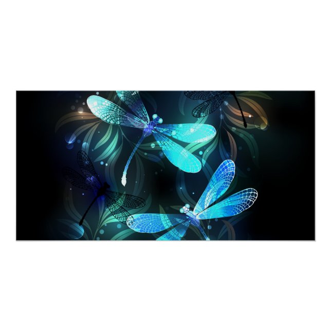 Poster Les libellules du lac (Devant)