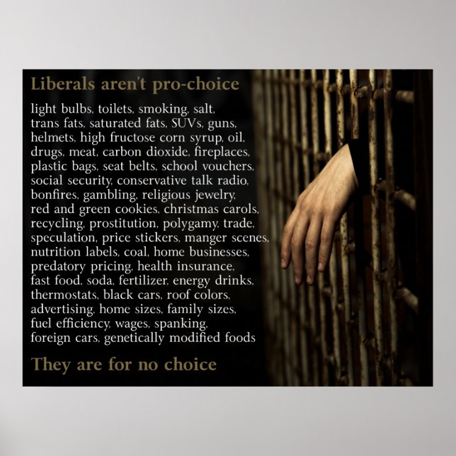 Poster Les Libéraux Ne Sont Pas Pro-Choix (Devant)