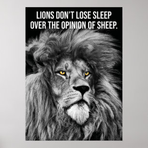 Poster Les lions ne perdent pas leur sommeil sur les opin