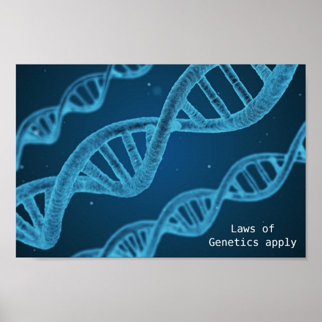 Poster Les lois de génétique de l'ADN s'appliquent geek (Devant)