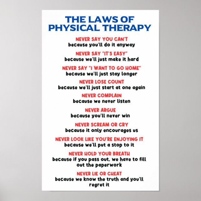 Poster Les lois de la thérapie physique - Motivation amus (Devant)