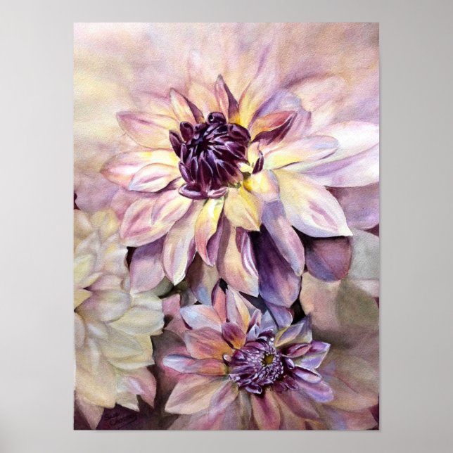 Poster Les magnifiques Dahlias (Devant)