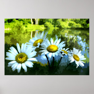Poster Les marguerites à l'étang
