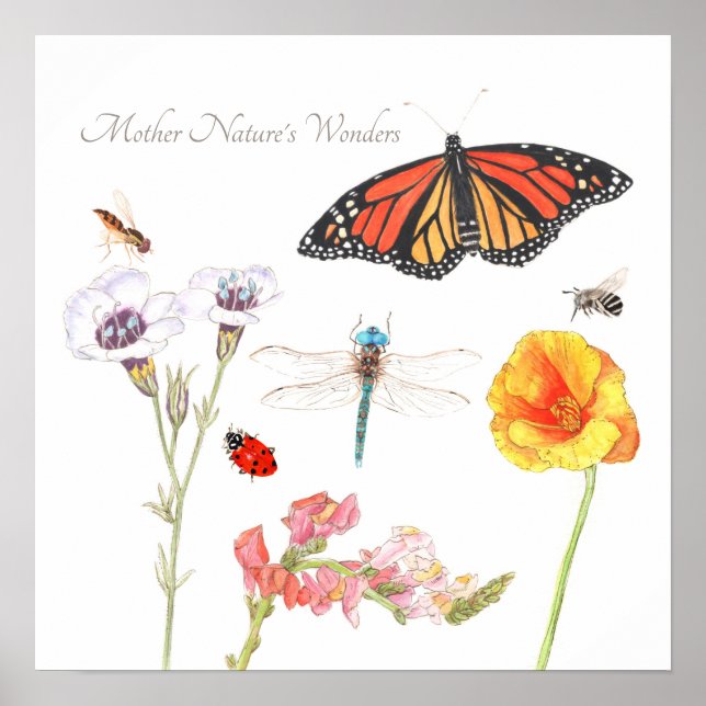 Poster Les merveilles de Mère Nature (Devant)