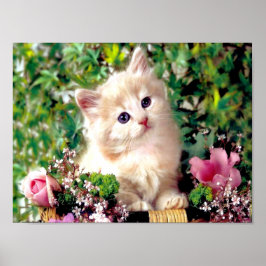 Poster Les mignons animaux